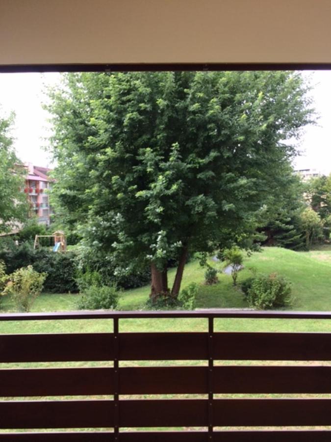Appartements Am Park Bad Krozingen Zewnętrze zdjęcie
